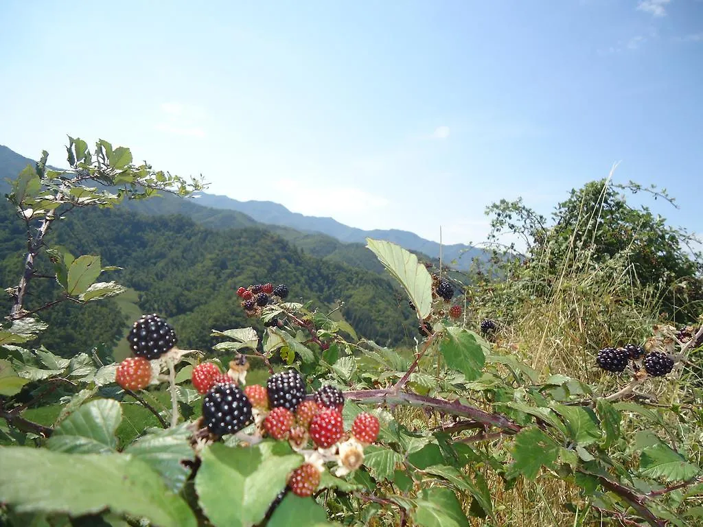 Agriturismo I Monti Di Salecchio Villa Palazzuolo Sul Senio 0*,